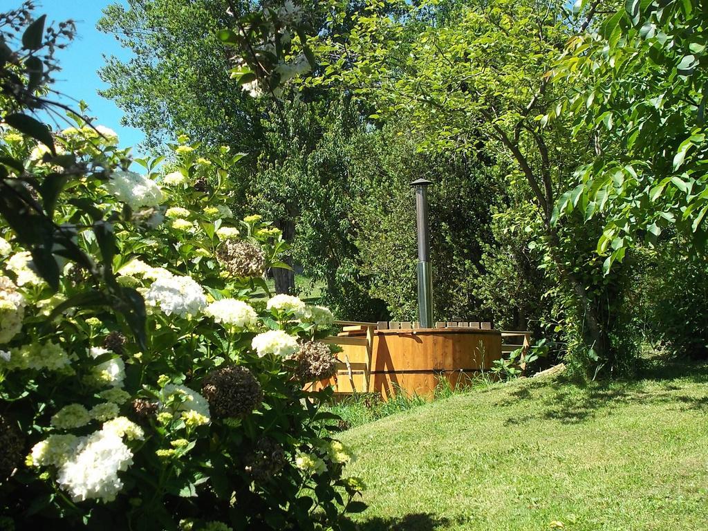Apart Hotel Puchaley Lafquen Panguipulli Esterno foto