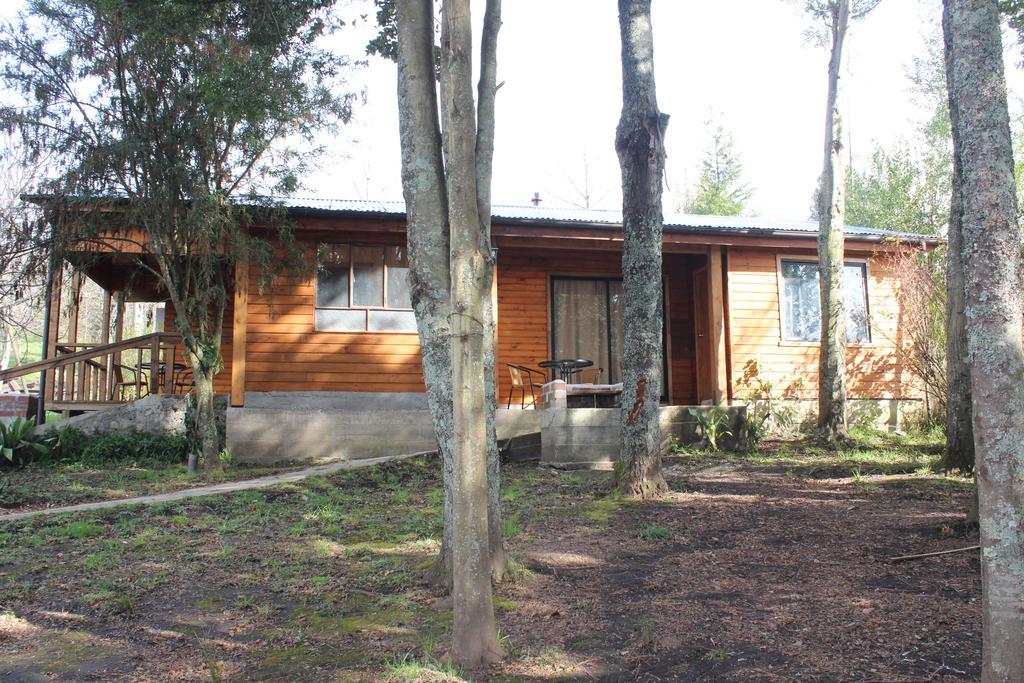 Apart Hotel Puchaley Lafquen Panguipulli Esterno foto